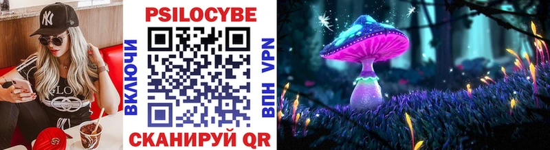 Галлюциногенные грибы Psilocybine cubensis  Володарск 