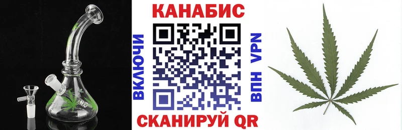 Бошки марихуана сатива где можно купить наркотик Володарск